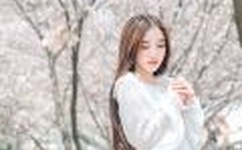 51漫画app下载安装在线观看